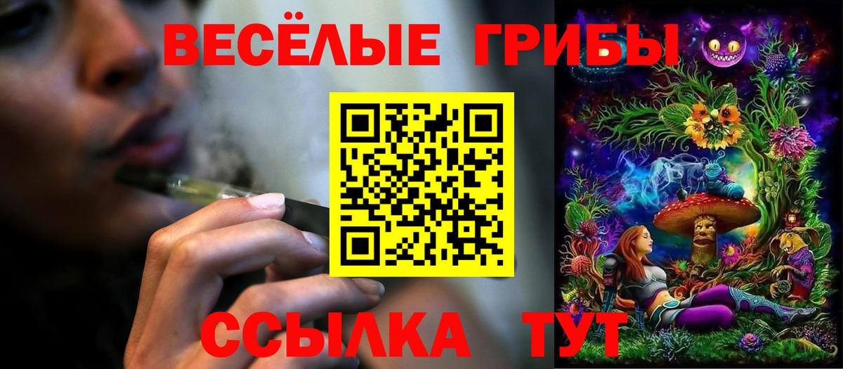Псилоцибиновые грибы мухоморы  Вход с VPN  магазин    Лосино-Петровский 