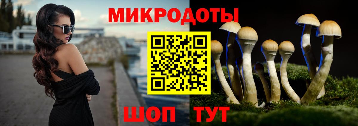 Галлюциногенные грибы Psilocybe Лосино-Петровский
